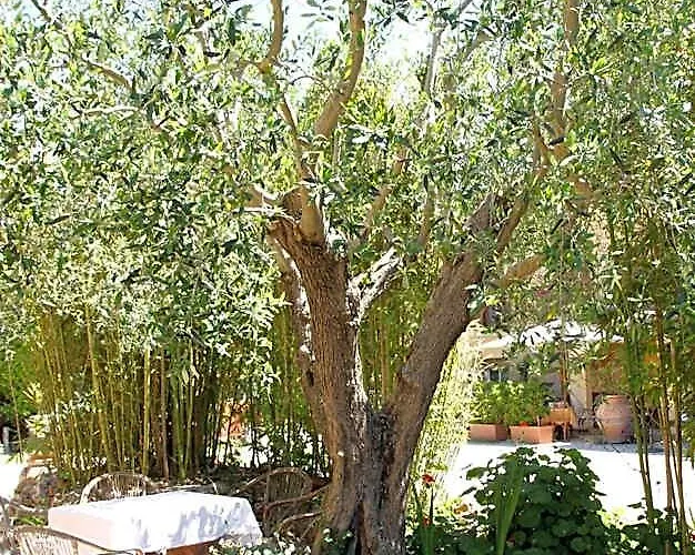 Tempio Di Apollo 2*